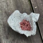 Ecuadorian Amazon: Parrots, Piranhas, and Peace 33 meat in tin foil