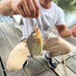 Ecuadorian Amazon: Parrots, Piranhas, and Peace 34 Man holding piranha on hook