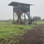 Galapagos Part 3: Lonesome George, Best Snorkeling in the World, and Bird Sex 21 IMG 5162