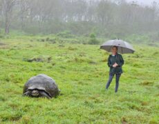 Galapagos Part 3: Lonesome George, Best Snorkeling in the World, and Bird Sex 14 IMG 5182 e1747507635339
