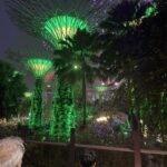 Singapore Uncovered: Top 10 Must-Do Experiences 17 IMG 6454