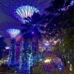 Singapore Uncovered: Top 10 Must-Do Experiences 18 IMG 6455