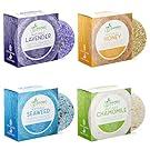 Solid Shampoo/Conditioner Combo Bars