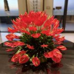 A Month Across India: The Basics 90 IMG 2305