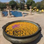 A Month Across India: The Basics 102 IMG 2708