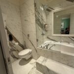 A Month Across India: The Basics 106 IMG 3528