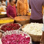 A Month Across India: The Basics 66 IMG 3612