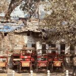 India's Golden Triangle: Delhi, Agra & Jaipur 31 IMG 2226