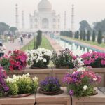 India's Golden Triangle: Delhi, Agra & Jaipur 35 IMG 2447
