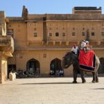 India's Golden Triangle: Delhi, Agra & Jaipur 45 IMG 2554