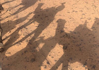 Camel shadows on desert sand