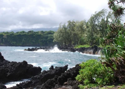 Photo of a beach in hawaii with black rocks with strong waves