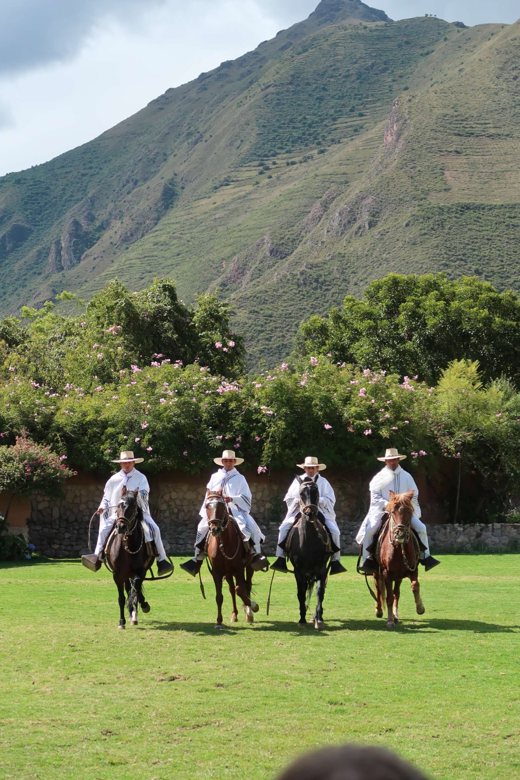 Paso Horses, Wayra Ranch, Peru