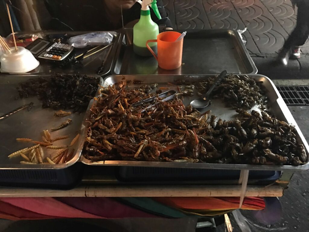 Bugs for broiling, Bangkok Thailand