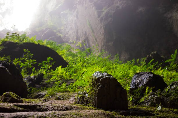 Hang Son Doong