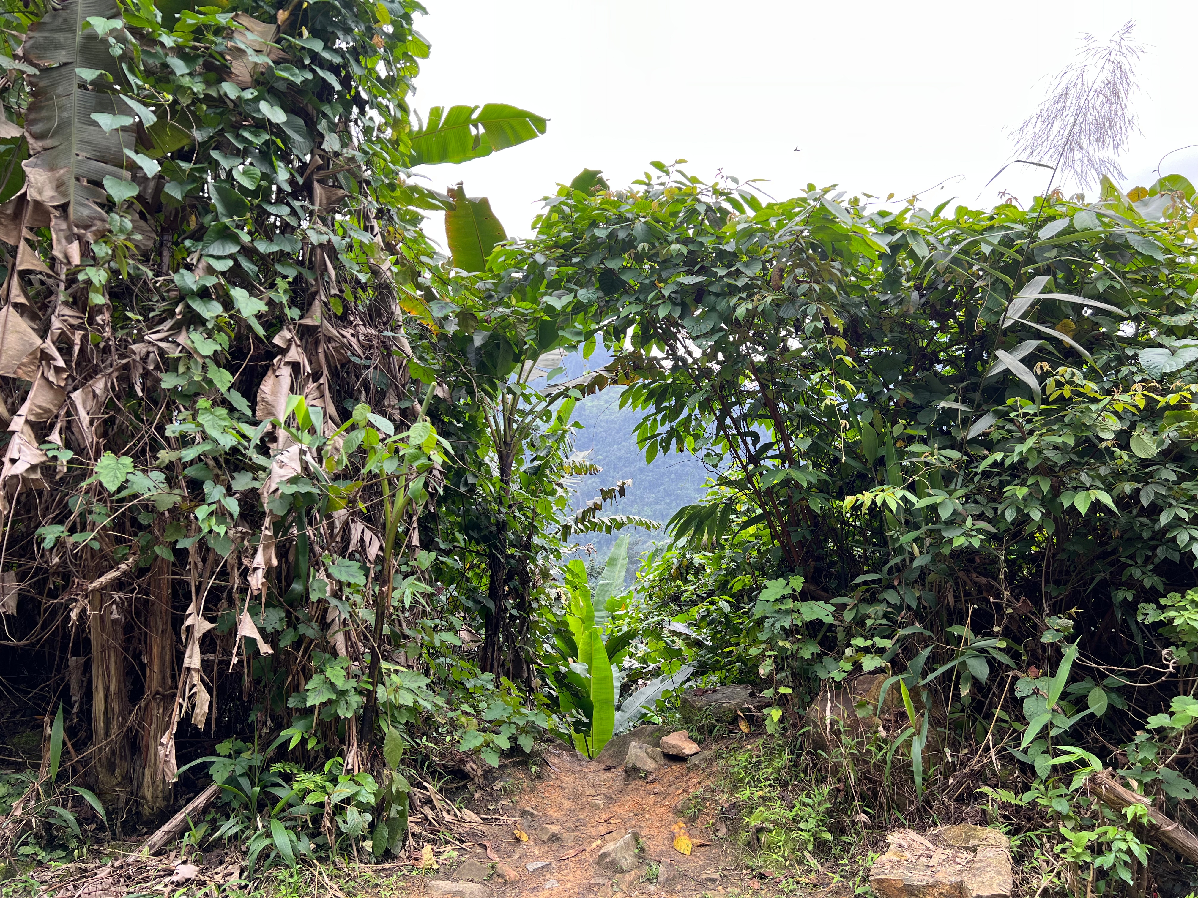 Phong Nha NATIONAL PARK