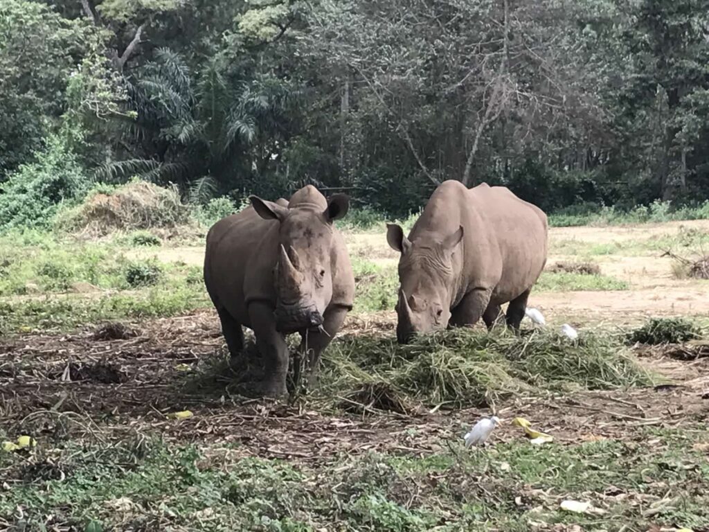 Entebbe Zoo