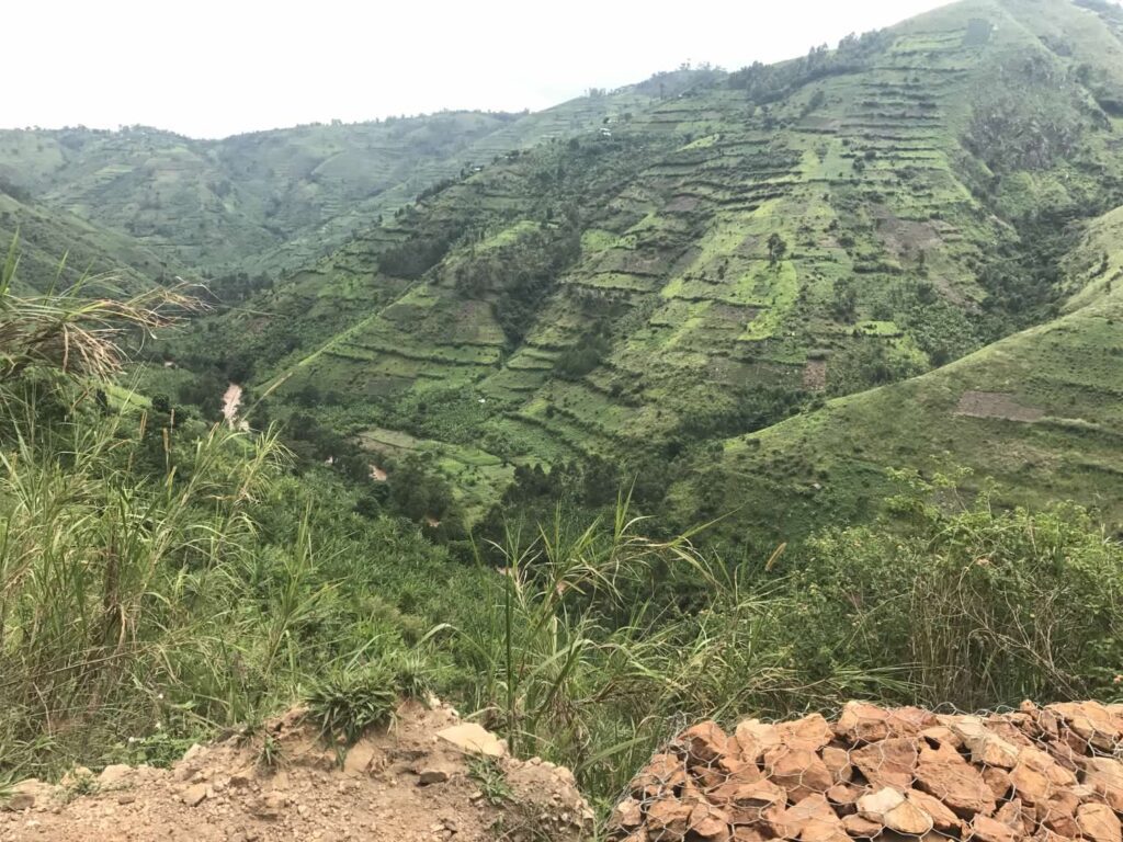 Bwindi Impenetrable Forest, Uganda