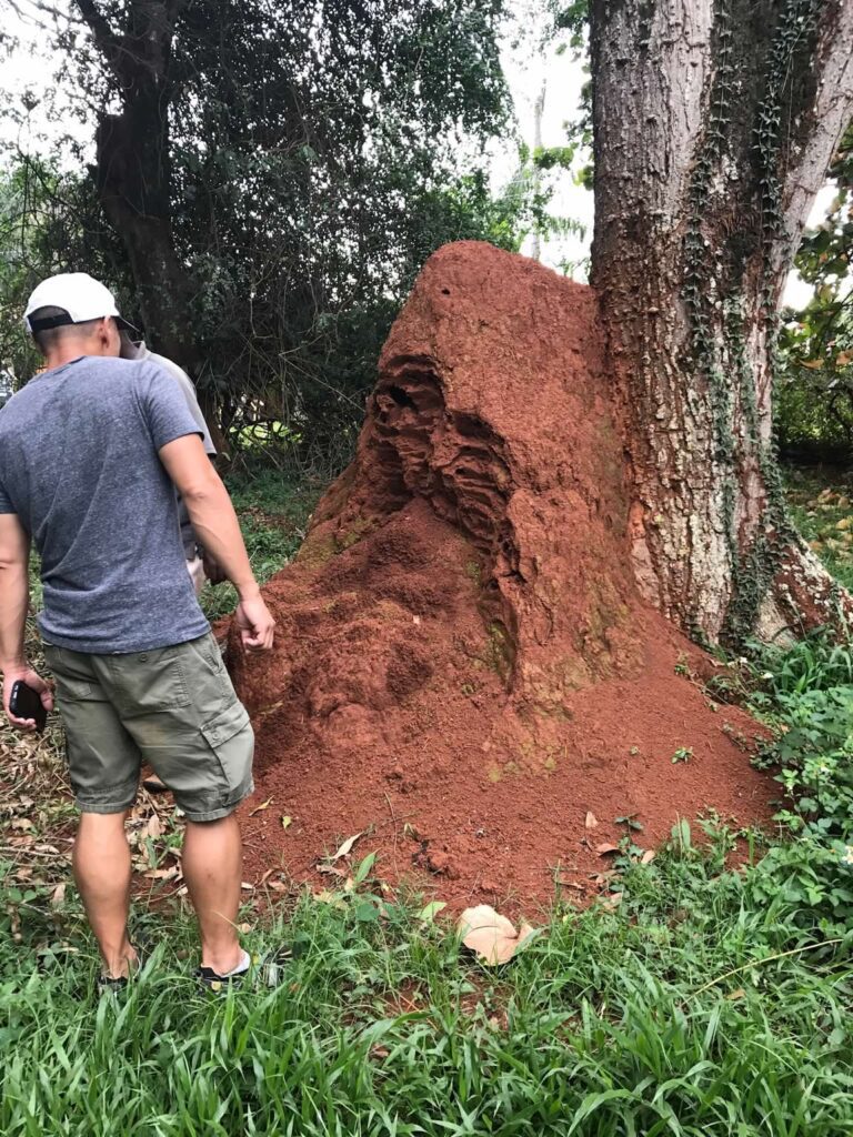 Entebbe, Uganda