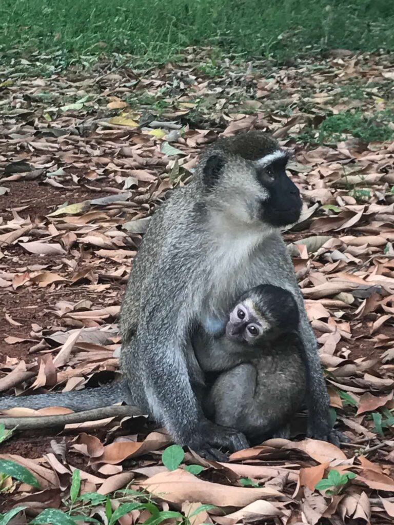 Entebbe, Uganda