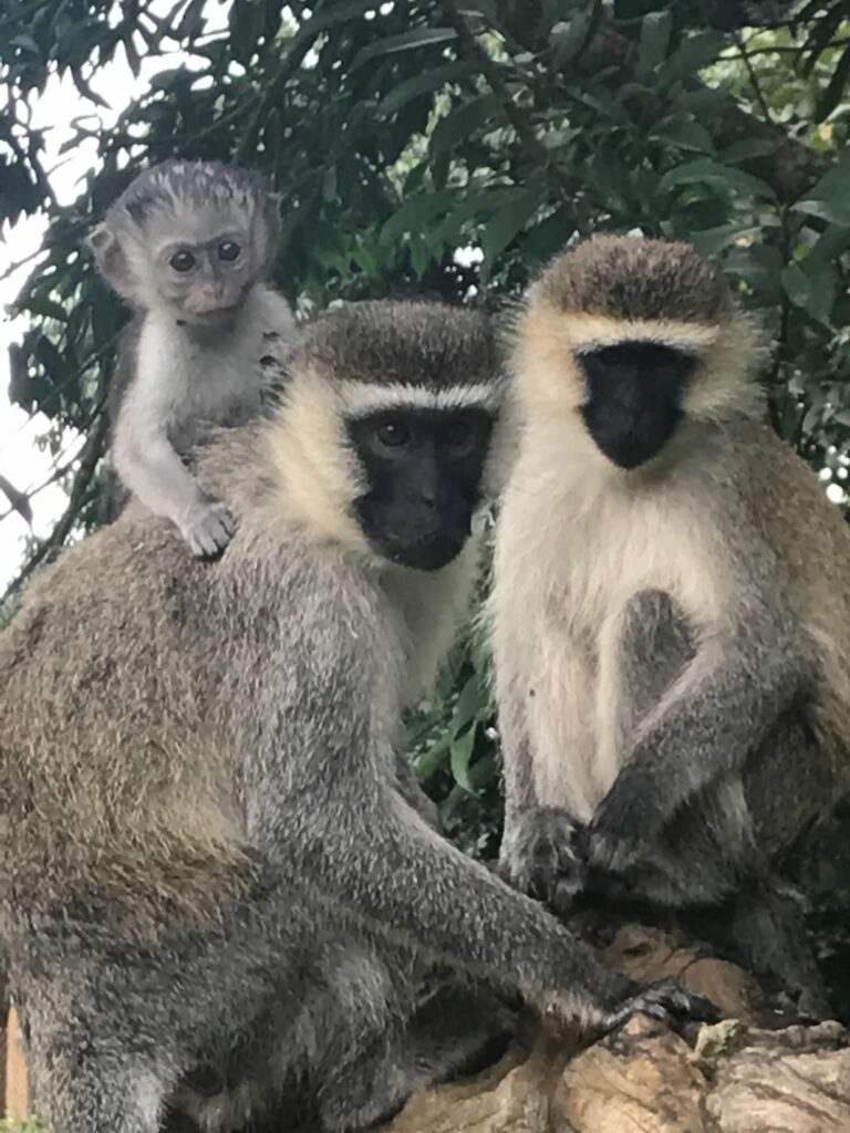 Entebbe, Uganda