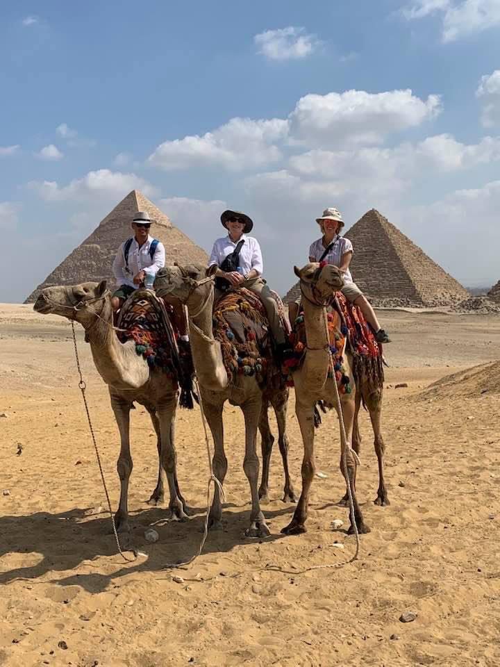 Camels Pyramids of Giza