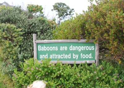 sign that says baboons are dangerous and attracted by food