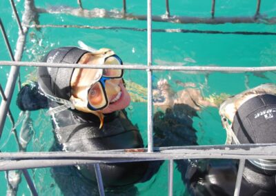 Cage diving with great white sharks; Marine Dynamics, Gansbaai