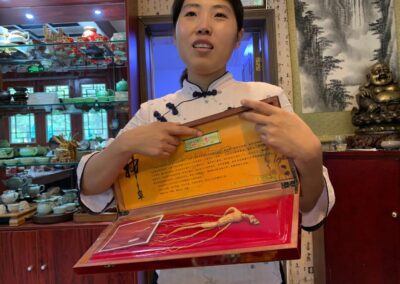 Chinese woman showing root in a case