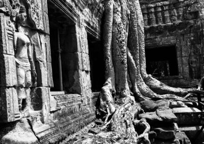 Ancient temple being taken back by trees