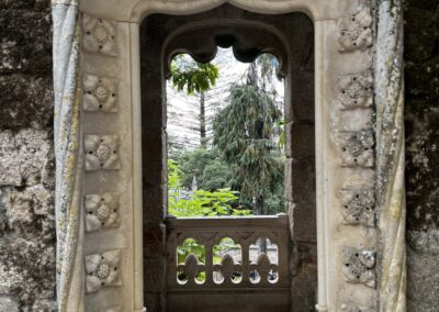 View of trees through a window