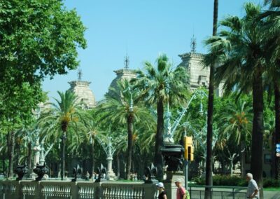 Park with Palm Trees