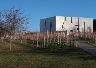 Cubist building in vineyard