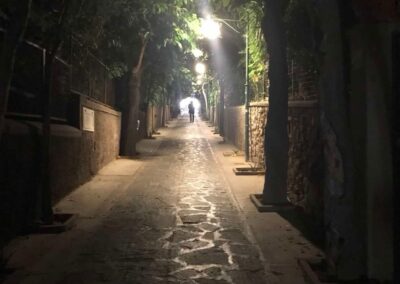 Paved path with trees and streetlights at night