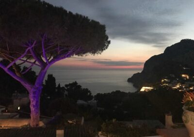 Sunset view with tree, sea, and coastline