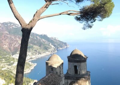 Tree and building with view of coastline and sea