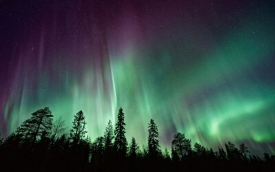 Insider’s Guide to the Nordic Region: Chasing the Northern Lights