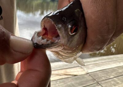 man pulling back piranha lips to show teeth