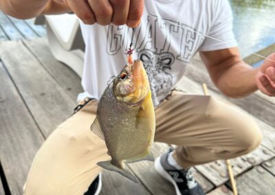 Man holding piranha on hook
