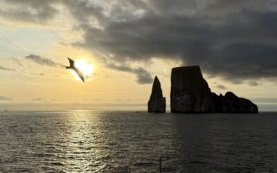 Galapagos Unveiled: A Nat Hab Adventure, Part Two