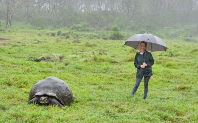 Galapagos Part 3: Lonesome George, Best Snorkeling in the World, and Bird Sex